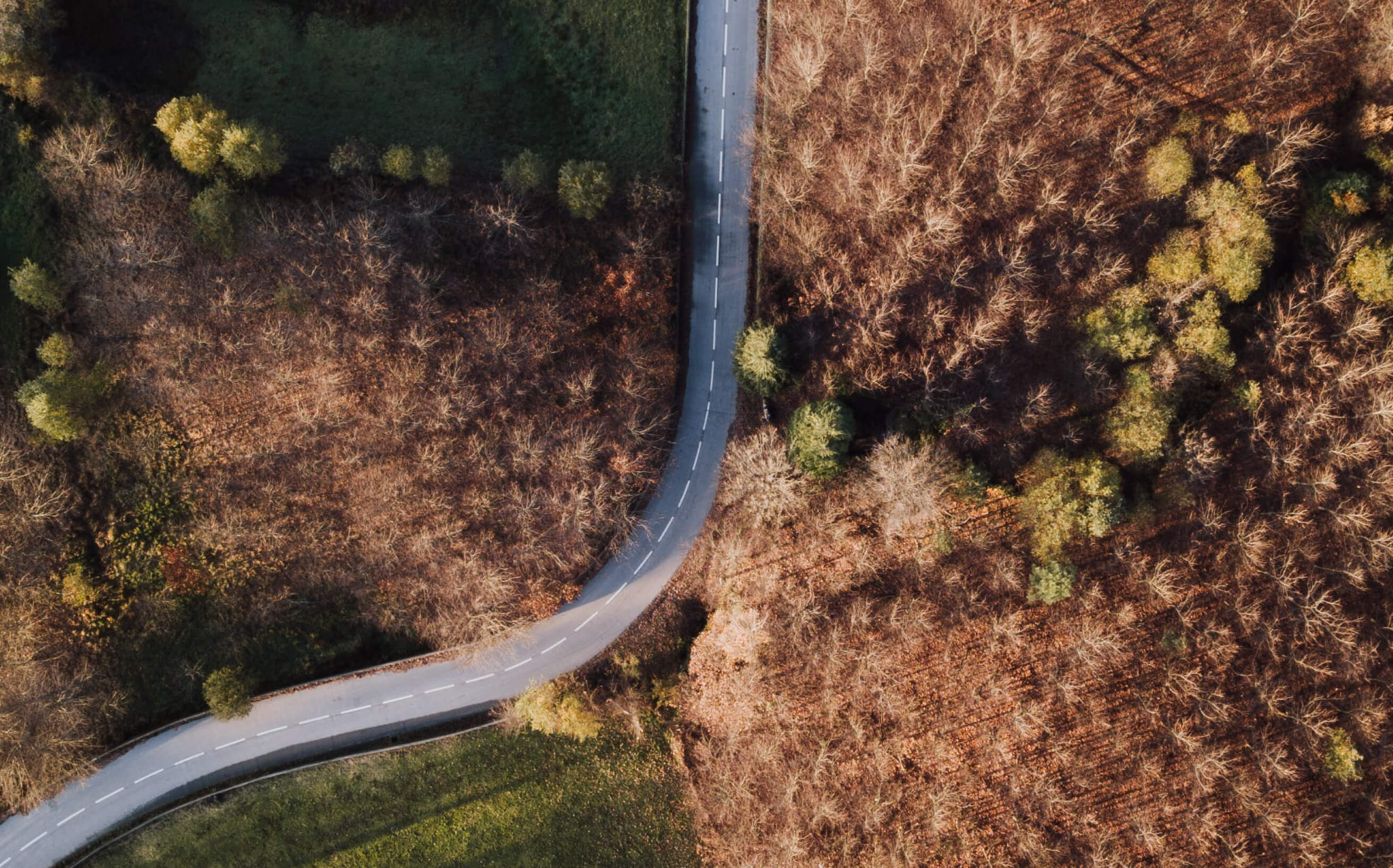 7 AI Agent Metrics Every SaaS Leader Should Track
